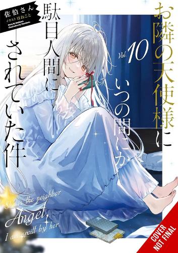 Little, Brown & Company The Angel Next Door Spoils Me Rotten, Vol. 10 (light Novel)