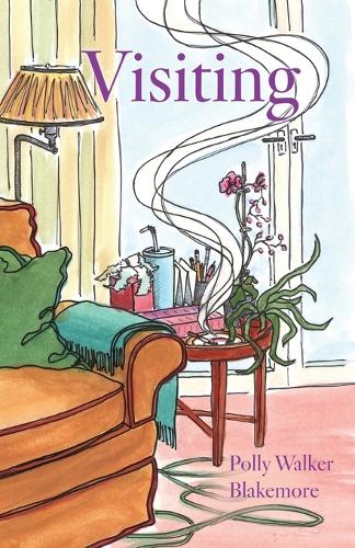 Visiting (Paperback)