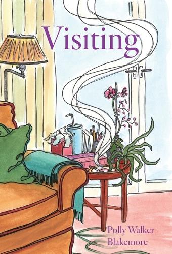 Visiting (Hardback)