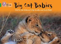 Big Cat Babies: Band 05/Green - Collins Big Cat (Paperback)