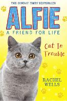 Alfie Cat in Trouble (Paperback)