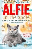Alfie in the Snow - Alfie series Book 5 (Paperback)