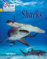 Sharks: Phase 5 Set 1 - Big Cat Phonics for Little Wandle Letters and Sounds Revised (Paperback)
