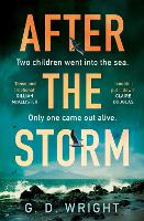 After the Storm (Paperback)