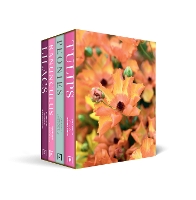 Beautiful Varieties Boxset (Multiple items, part(s) enclosed)