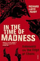 In The Time Of Madness (Paperback)