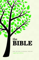 New Revised Standard Version Bible: Compact Edition (Hardback)
