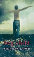 Rollercoasters Bog Child Reader - Rollercoasters (Paperback)