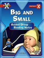 Project X: Big and Small: Teaching Notes (Paperback)