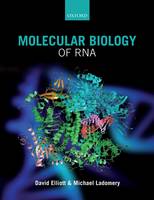 Molecular Biology of RNA (Paperback)