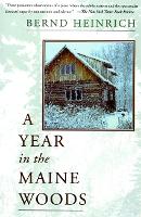 A Year In The Maine Woods (Paperback)