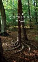 The Quickening Maze (Hardback)
