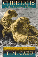 Cheetahs of the Serengeti Plains: Group Living in an Asocial Species - Wildlife Behaviour & Ecology Series WBE (Paperback)