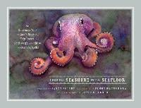 From the Seashore to the Seafloor: An Illustrated Tour of Sandy Beaches, Kelp Forests, Coral Reefs, and Life in the Ocean's Depths (Hardback)