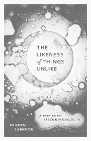 The Likeness of Things Unlike: A Poetics of Incommensurability (Hardback)
