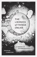 The Likeness of Things Unlike: A Poetics of Incommensurability (Paperback)