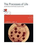 The Processes of Life: An Introduction to Molecular Biology - The MIT Press (Hardback)