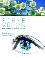 Scene Vision: Making Sense of What We See - Scene Vision (Hardback)