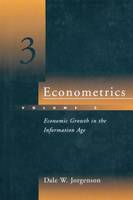 Econometrics: Economic Growth in the Information Age - Econometrics (Paperback)