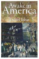 Awake in America: On Irish American Poetry (Paperback)