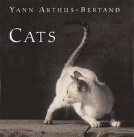 Cats (Paperback)