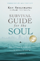 Survival Guide for the Soul: How to Flourish Spiritually in a World that Pressures Us to Achieve (Paperback)