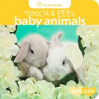 Touch And Feel: Baby Animals - Touch and Feel (Hardback)