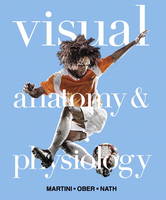 Visual Anatomy & Physiology (Hardback)