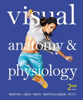 Visual Anatomy & Physiology (Hardback)