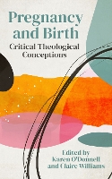 Pregnancy and Birth: Critical Theological Conceptions (Paperback)