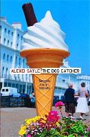 The Dog Catcher (Paperback)