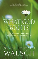 What God Wants: A Compelling Answer to Humanity's Biggest Question (Paperback)