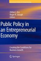 Public Policy in an Entrepreneurial Economy: Creating the Conditions for Business Growth - International Studies in Entrepreneurship 17 (Hardback)