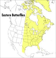 Peterson Field Guide To Eastern Butterflies, A (Paperback)