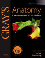 Gray's Anatomy: The Anatomical Basis of Clinical Practice - Gray's Anatomy (Hardback)