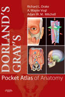 Dorland's/Gray's Pocket Atlas of Anatomy - Dorland's Medical Dictionary (Paperback)