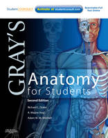 Gray's Anatomy for Students - Gray's Anatomy (Paperback)