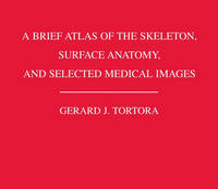 A Brief Atlas of the Skeleton, Surface Anatomy, and Selected Medical Images (Paperback)