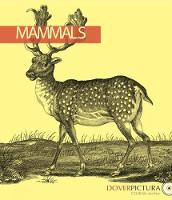 Mammals - Dover Pictura Electronic Clip Art (Paperback)