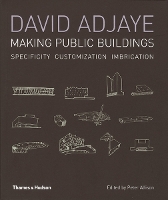 David Adjaye: Making Public Buildings (Paperback)