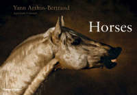 Horses (Hardback)