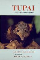 Tupai: A Field Study of Bornean Treeshrews - Organisms and Environments 2 (Paperback)
