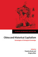 China and Historical Capitalism: Genealogies of Sinological Knowledge - Studies in Modern Capitalism (Paperback)
