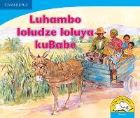 Luhambo loludze loluya kuBabe (Siswati) - Little Library Numeracy (Paperback)