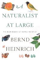 Naturalist At Large, A (Hardback)