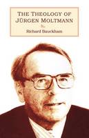 Theology of Jürgen Moltmann (Paperback)