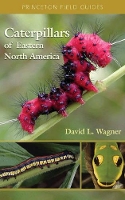 Caterpillars of Eastern North America: A Guide to Identification and Natural History - Princeton Field Guides (Paperback)