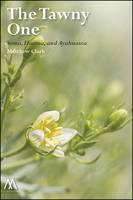 Bradley Walker Tomlin: A Retrospective (Paperback)