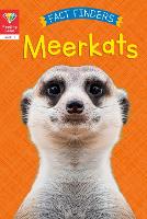 Reading Gems Fact Finders: Meerkats (Level 1) - Reading Gems (Paperback)