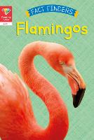 Reading Gems Fact Finders: Flamingos (Level 1) - Reading Gems (Paperback)